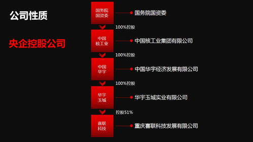 新囍联新产品新模式渠道商启动大会圆满召开，开启互联网数据服务新篇章