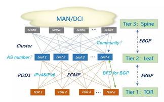 互联网公司大型数据中心BGP路由协议规划与数据服务优化